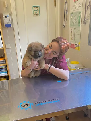 Centro Veterinario Los Villares De Arganda Cristina Díaz Infantes